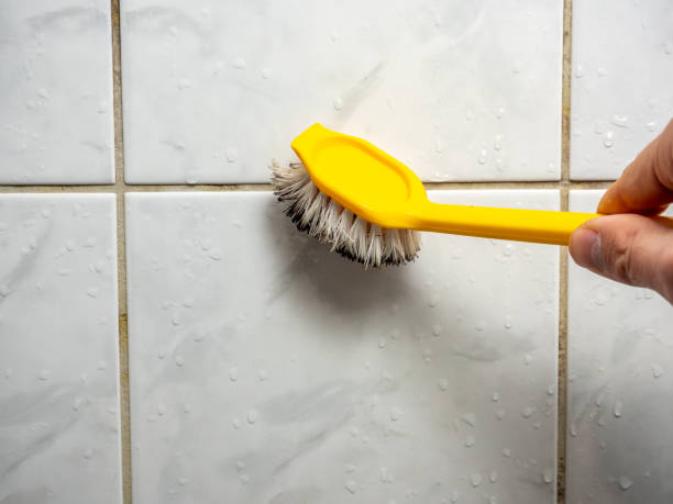 Best Certified Mold Removal  in Reedley, CA