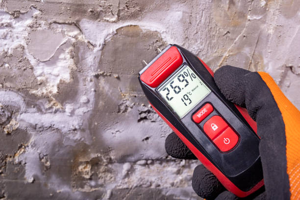 Mold Removal and Inspection in Reedley, CA