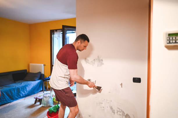 Best Toxic Mold Removal  in Reedley, CA
